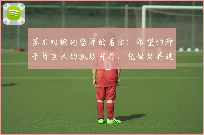 苏东对徐彬留洋的看法：希望的种子与巨大的挑战并存，先做好再追求完美