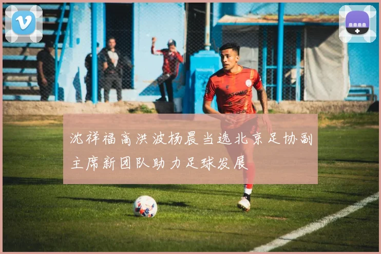 沈祥福高洪波杨晨当选北京足协副主席新团队助力足球发展